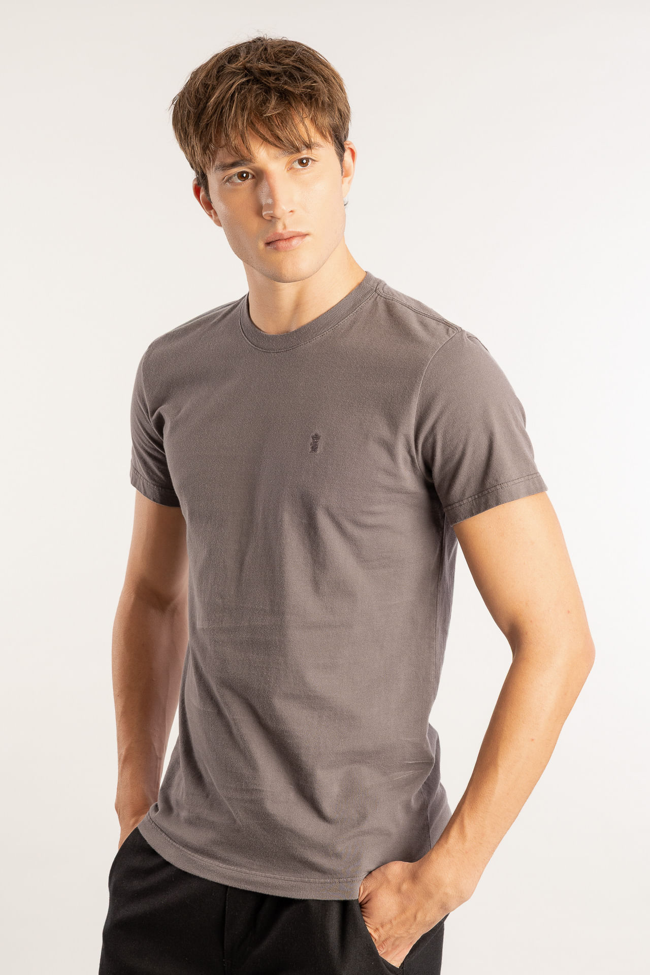 Camiseta Algodão Gola Careca W26 - Chumbo